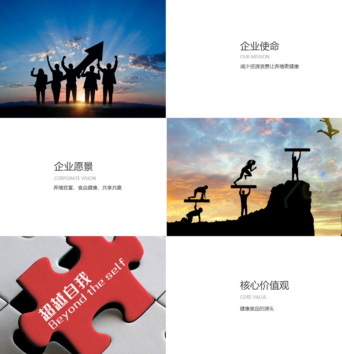 wepoker平台(图1)